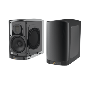 GoldenEar BRX