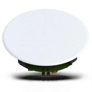 GoldenEar Invisa HTR 8000