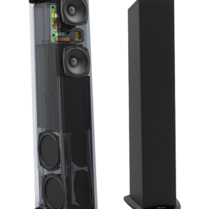 GoldenEar Triton Five