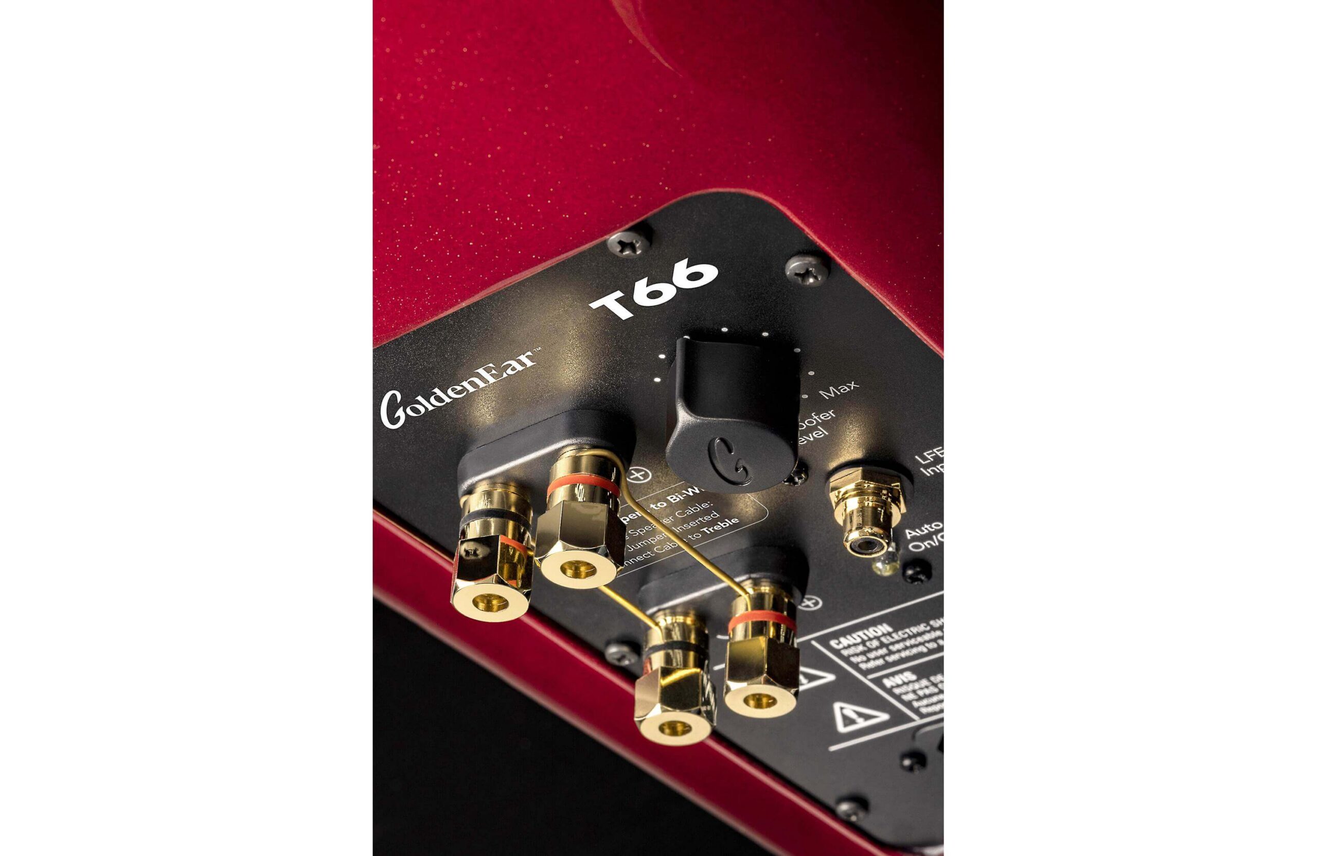 GoldenEar T66 Red — rear panel bi-wire posts and subwoofer level